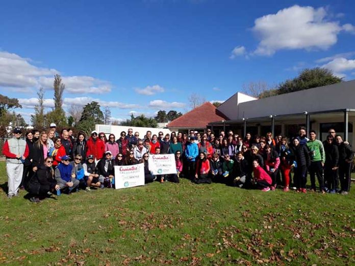 p17f2 grupo