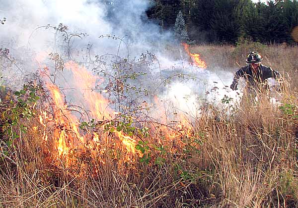 Dos incendios de pastizales por efecto del fuerte viento