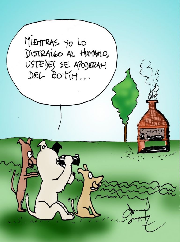 Humor perruno