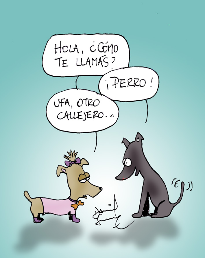 Humor Perros y Gatos