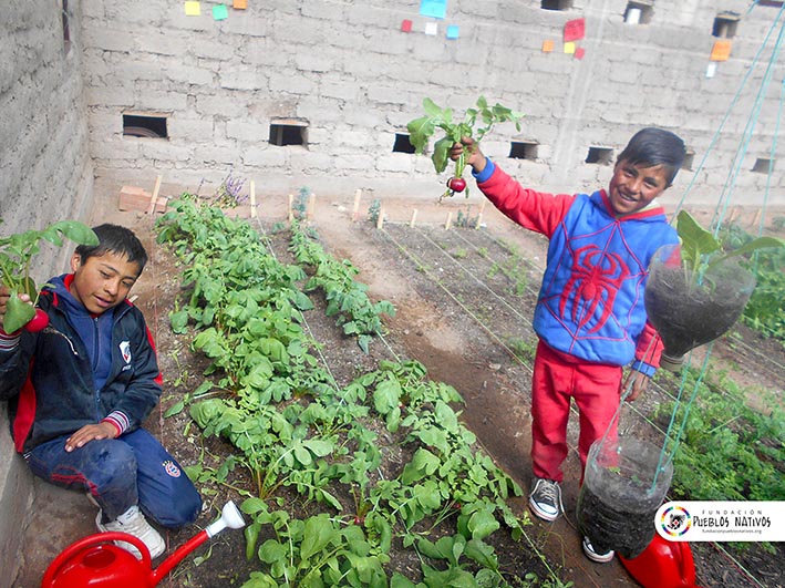 Organización local ve “sus frutos” en distintas comunidades de Salta