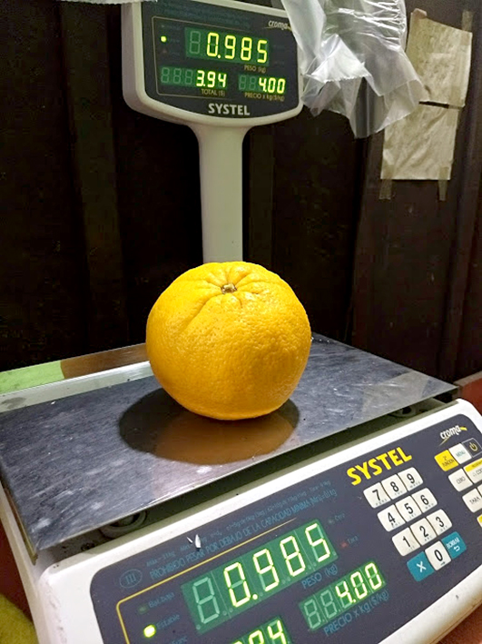 Una naranja de casi un kilo