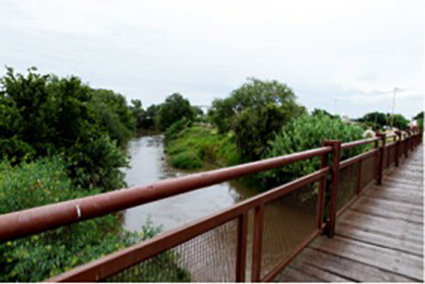 Conciencia desde el río