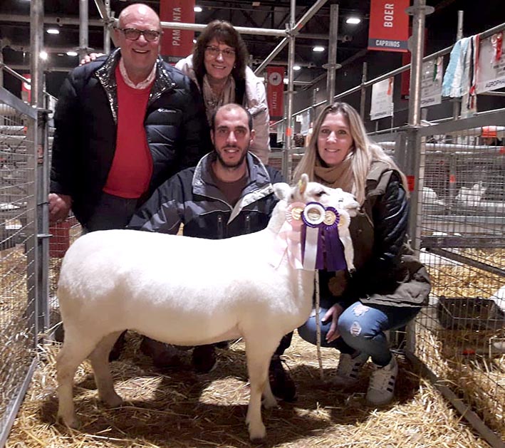 Cabaña ovina de Arroyo Cabral volvió con premios