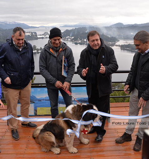 Preocupa el san bernardo en Bariloche