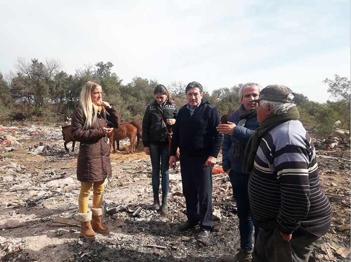 Realizan un censo de caballos buscando el “Buen trato animal”